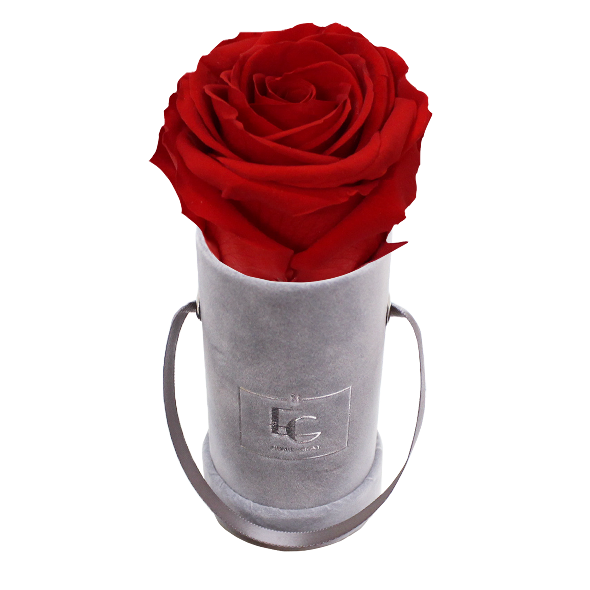 CLASSIC INFINITY ROSEBOX | VIBRANT RED | XXS CLASSIC INFINITY ROSEBOX | VIBRANT RED | XXS
