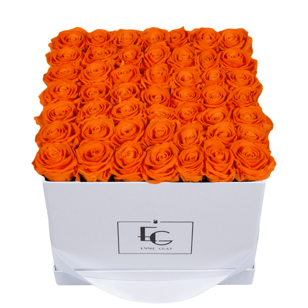 CLASSIC INFINITY ROSEBOX | ORANGE FLAME | L