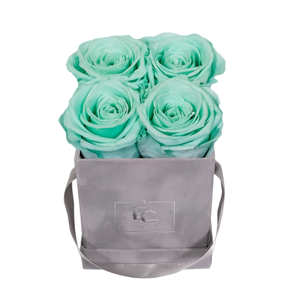 CLASSIC INFINITY ROSEBOX | MINTY GREEN | XS