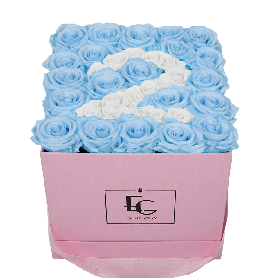 NUMBER INFINITY ROSEBOX | BABY BLUE & PURE WHITE | M