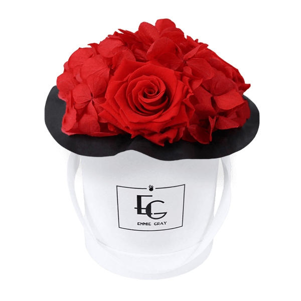 Splendid Hydrangea Infinity Rosebox | Vibrant Red | XS