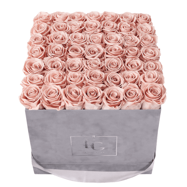Classic Infinity Rosebox | Antique Pink | L