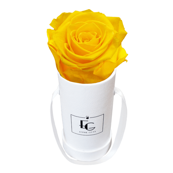 CLASSIC INFINITY ROSEBOX | SUNNY YELLOW | XXS