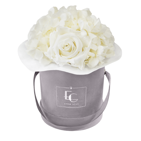 Splendid Hydrangea Infinity Rosebox | Pure White | XS