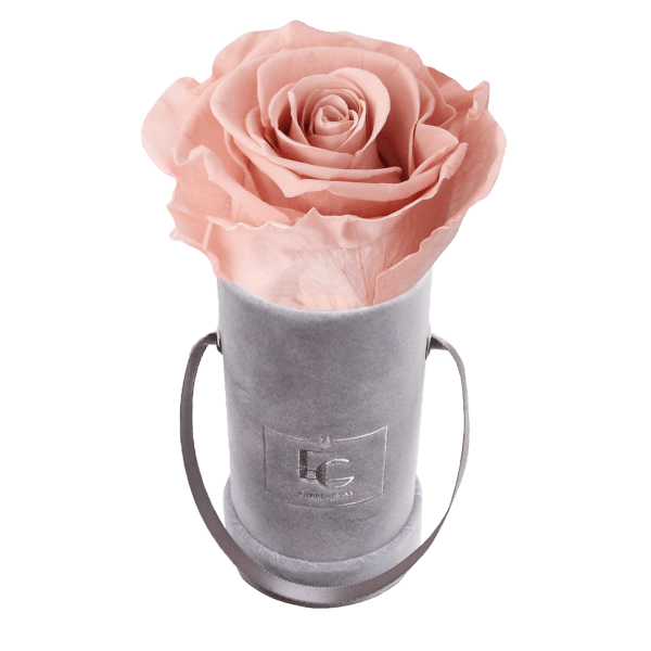 Classic Infinity Rosebox | Antique Pink | XXS