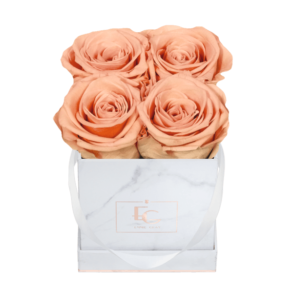 Classic Infinity Rosebox | Perfect Peach | XS