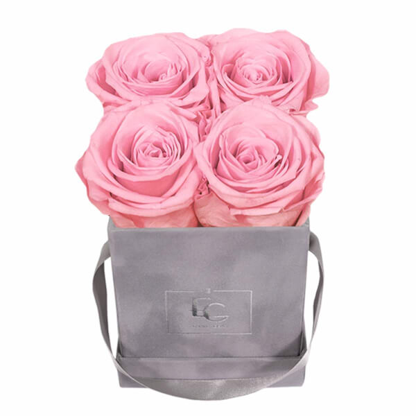 CLASSIC INFINITY ROSEBOX | BRIDAL PINK | XS